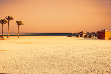 Summer beach of free space and palms. Ocean landscape and free space for your decoration. 