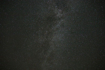 Night sky stars, milky way. Tree silhouette