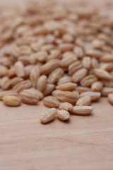 close up of barley on wood