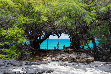 ハワイ島のビーチへと続く道