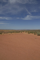 Fototapeta na wymiar Walking in the desert in arizona