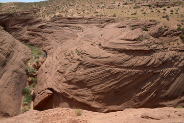 Walking in the desert in arizona