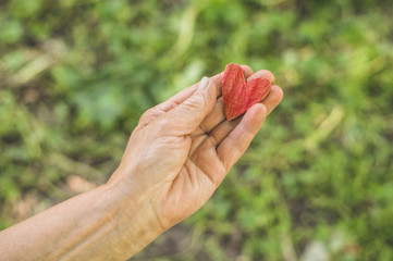 Old hand grandmother hold heart. Concept idea of love family protecting elderly people grandmother friendship togetherness relationship
