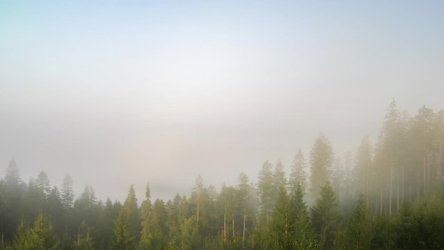 Time Lapse 4K video of foggy morning landscape at Ukrainian Carpathian mountains.