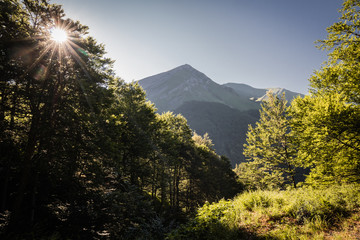 beautiful view of summer forests and mountains in iraty, basque country