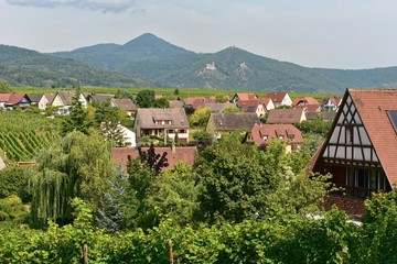 Frankreich - Elsass - Zellenberg 