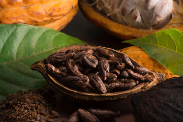 Open cocoa with toasted beans and the fresh fruit in wood background with half light