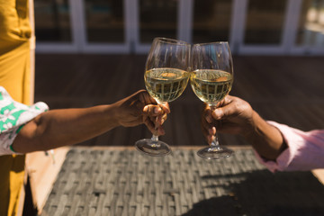 Senior couple toasting glasses of champagne in the backyard