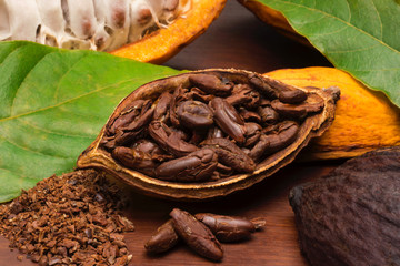 Open cocoa with toasted beans and the fresh fruit in wood background