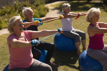 Group of senior people exercising in the park