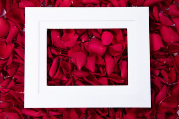 White empty frame on pink rose petals 