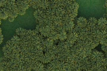 Palm trees isolated. Image useful for banners, posters or photo maipulations. 3d rendering. Illustration