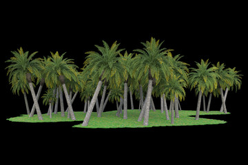 Palm trees isolated. Image useful for banners, posters or photo maipulations. 3d rendering. Illustration