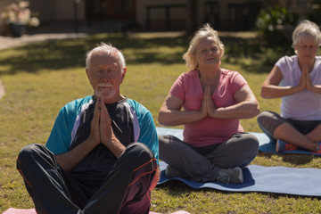 Fototapeta premium Senior people performing yoga in the park
