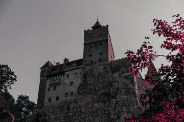 Draculal's Castle - Vlad the impaler