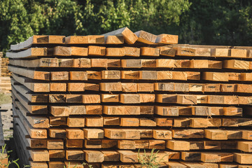 pile of timber made of pine trees.