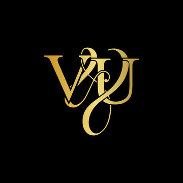 Initial letter V & U VU luxury art vector mark logo, gold color on black background.