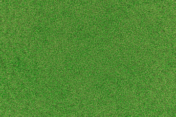Background illustration of green field of grass with flowers. 3D rendering. Useful for commercial banners and print