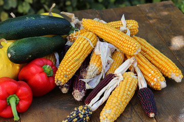 Autumn still life with fresh vegetables from the garden