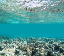 Underwater background of free space for your decoration. Ocean landscape 