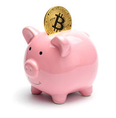 Pink piggy bank and golden bitcoin isolated on a white background. Cryptocurrency Savings