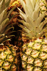 Green fresh pineapples in bright yellow market light background