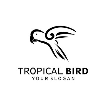 abstract parrot icon logo template