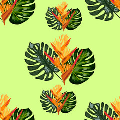 Summer jungle pattern with tropical flowers heliconia or lobster-claw background.