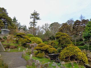 a botanic garden in a park