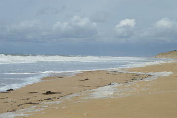 Vagues en bord de mer