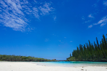 ピッシンヌナチュレル