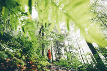 Woman in orange raicoat with backpack walk through the foggy forest with fern leaves. Girl enjoying...
