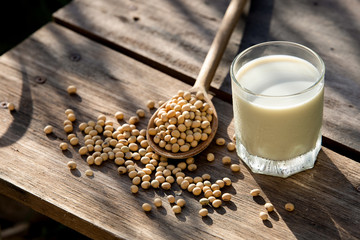 Soy milk cool and soybeans on wooden table background with lighting in the morning