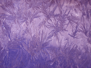 purple frost on window at Roback