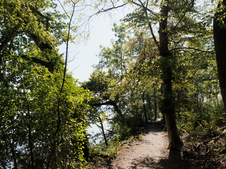 Obraz premium Schweizer Seenlandschaft - Rund um den Hallwilersee - Romantische und Schöner Wanderweg rund um den See zwischen Beinwil am see und Mosen mit . Naturschutzgebiet, geschützter Wald, Ruhezone und biotop