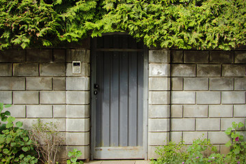 Gray block fence with a closed door overgrown with green foliage