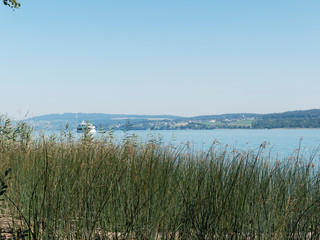 Schweizer Seenlandschaft - Der Hallwilersee. Blick von Beinwil am see nach Norden des sees, richtung Meisterschwanden