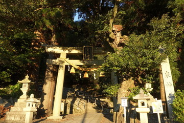 滋賀県米原市の泉神社の鳥居と風景