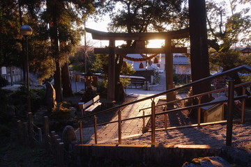 Fototapeta na wymiar 滋賀県米原市の泉神社の境内と木洩れ日