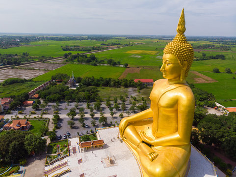 Golden buddha statue in buddhism temple with rice plantation