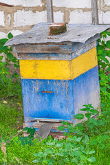 Weathered bee wooden hive, with green vegetation background