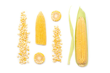 Fresh Organic Corn On White Background.