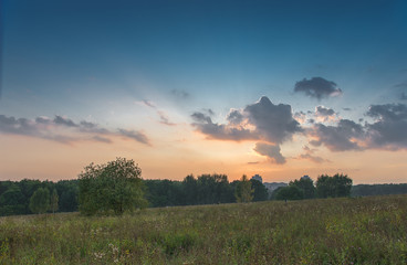 sunset over green field