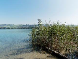 Schweizer Seenlandschaft - Seeblick Hallwilersee von Beinwil am see