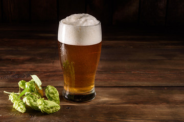 Glass of light beer on a dark pub. Glass beer on wood background with copy space. Full glass with lager beer, close up