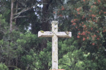 cross isolated on white background