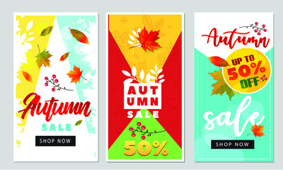 Hello autumn background layout decorate with leaves for shopping sale or promo poster and frame leaflet or web banner.Vector illustration template.