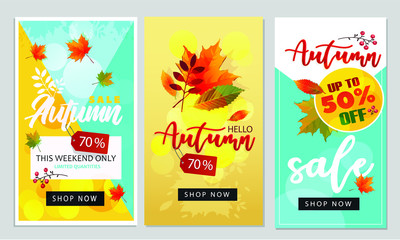 Hello autumn background layout decorate with leaves for shopping sale or promo poster and frame leaflet or web banner.Vector illustration template.