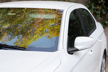 car beauty in natural landscape