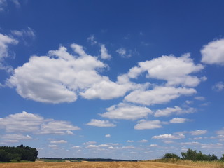 Field with Clouds
